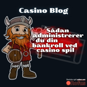 Sådan administrerer du din bankroll ved casino spil