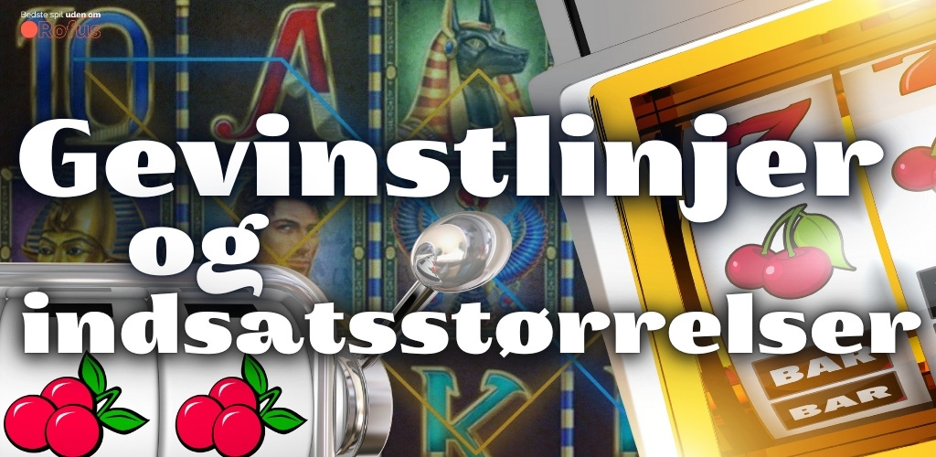 Gevinstlinjer og indsatsstørrelser online slot